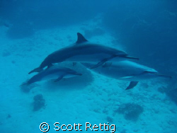 The Fam !  Mom, Dad, and the Little One off  Big Island o... by Scott Rettig 